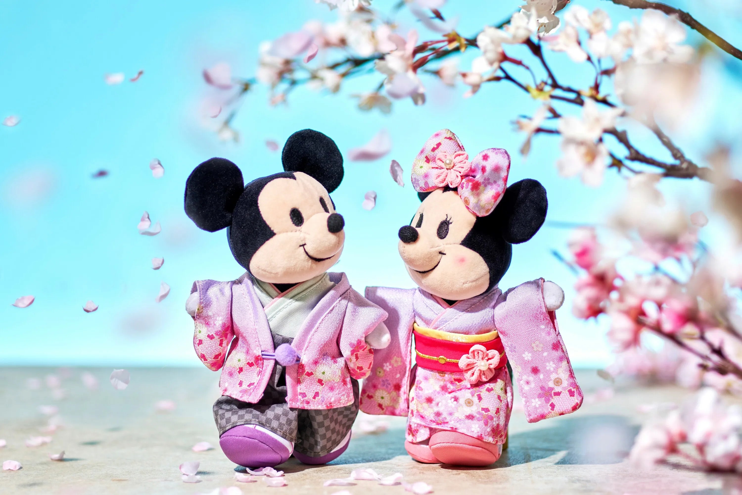 Japan Disney Park Exclusives 🎢