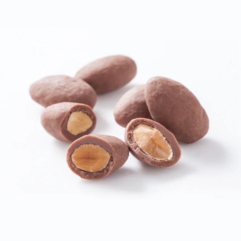 CHEESE GARDEN Chocolate Covered Nuts