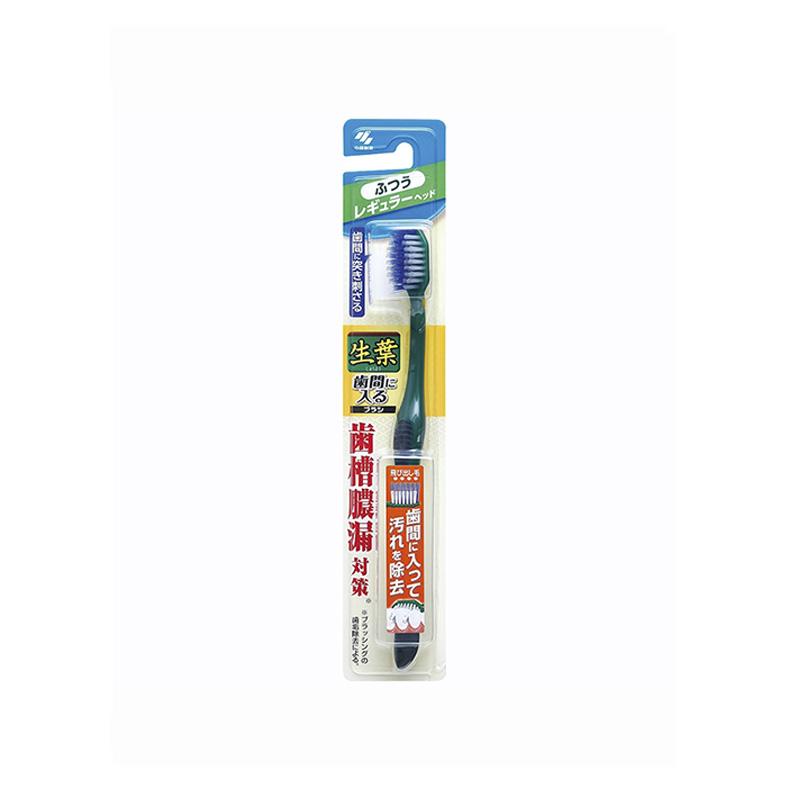 KOBAYASHI Shoyo Interdental-Reach Toothbrush