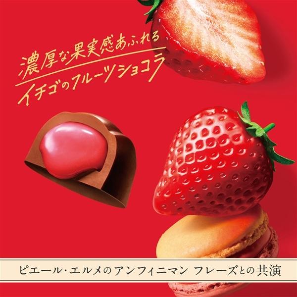 LOTTE Premium Ghana Fruit Chocolate