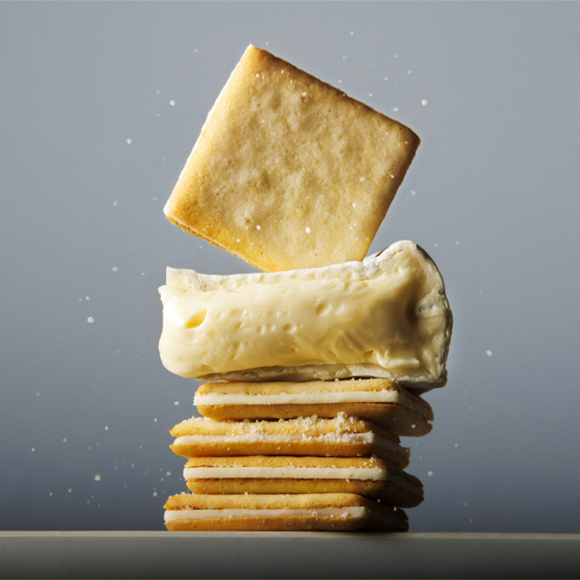 TOKYO MILK CHEESE FACTORY Salt & Camembert Cheese Cookies