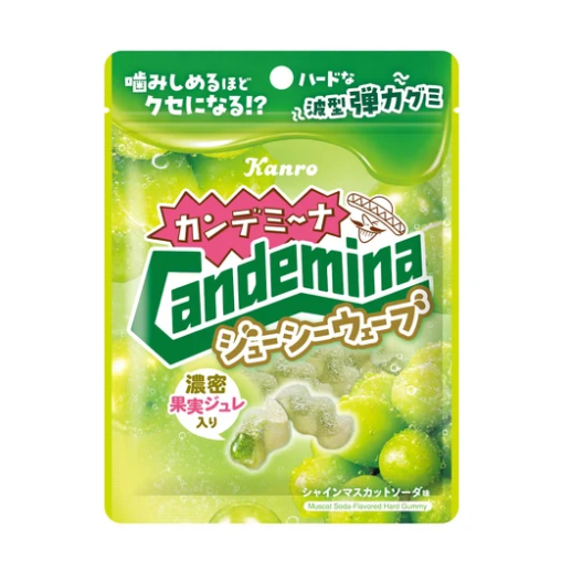 KANRO Candemina Gummy Juicy Wave – Grape Flavor