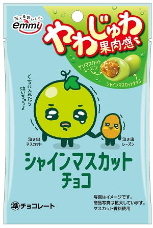 SHOEI Shine Muscat Raisin Chocolate